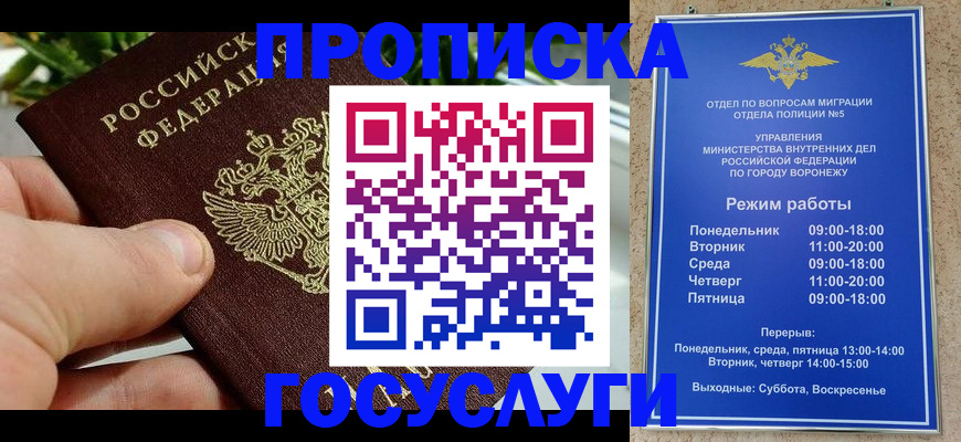 временная регистрация для школы в Сольцах